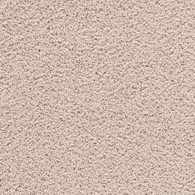 Artful Insight - Angora