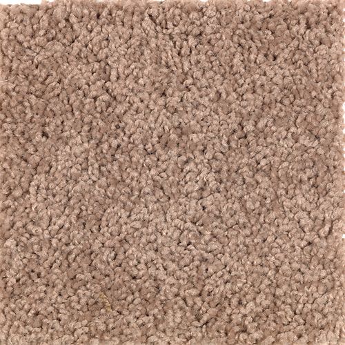 Mohawk Industries Dealer S Choice Manhattan Brown Carpet