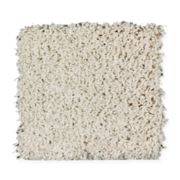 Antique Ivory Antique Ivory