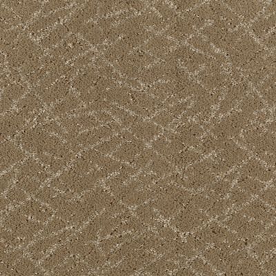 Patterned Carpet Pattern Carpeting Carpet Stores Rite Rug