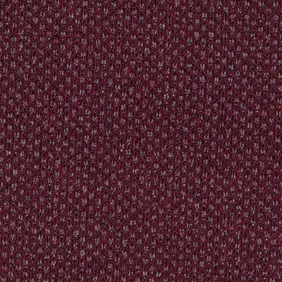 Cranberry Frost