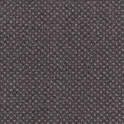 Regal Gray
