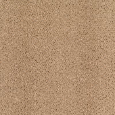 Gobi Beige