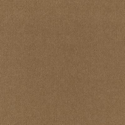 Suede Camel