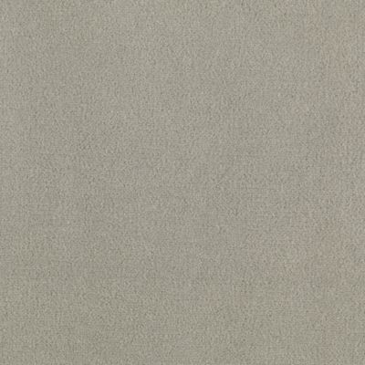 Silver Mist