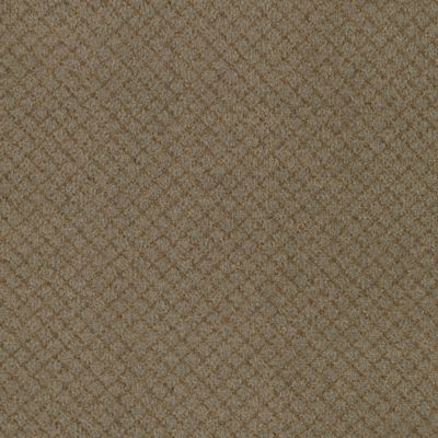 Stony Gray