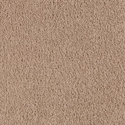 Neutral Ground Brown Sugar Mohawk Carpet Rite Rug