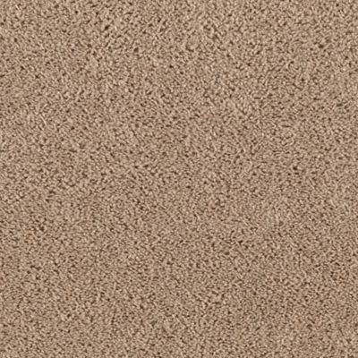 Neutral Ground Brown Sugar Mohawk Carpet Rite Rug