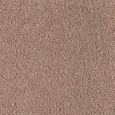 Neutral Ground Woodland Mohawk Carpet Rite Rug