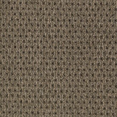 Tactile Taupe