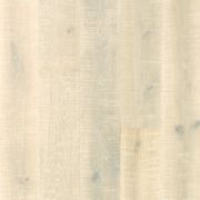Artic White Oak Artic White Oak