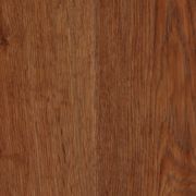 Amber Oak Amber Oak