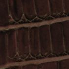 Chestnut Croc 447