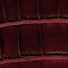 Dark Red Croc 448