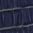 Blue Croc 450