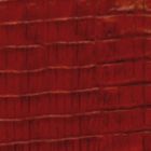 Red Lizard 461