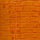Orange Lizard 462