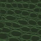 Green Caiman Gator 466