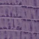 Lilac Lizard 473