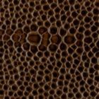 Tan Stingray 478