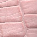 Pink Large Croc 479