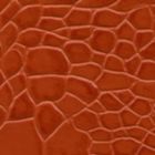 Orange Tortoise 485