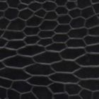 Black Snake 487