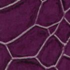 Purple Tortoise 488