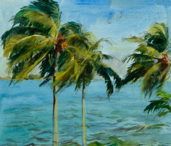 coastal & tropical