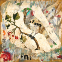 animals & Birds