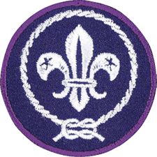 World Scout Crest Emblem