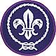 World Scout Crest Emblem