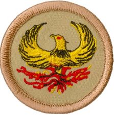 Image result for phoenix patrol patch