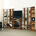 11' Wide Media System with 19