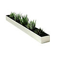 Gus Houseplant Trough