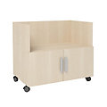 Currency Mobile Cart with Doors