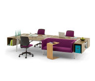 Shared Office