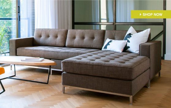 Jane Bisectional