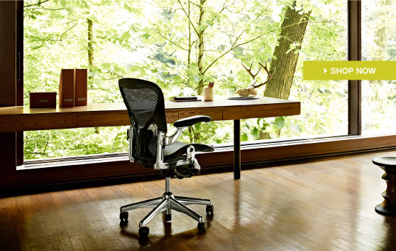 Aeron Chair