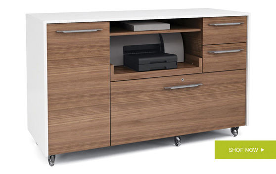 Format Storage Credenza