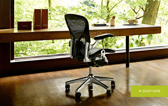Aeron Chair by Herman Miller