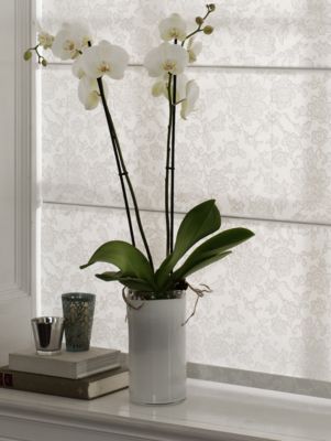 Roman Shade - Mantilla White