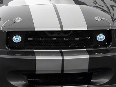 Shelby Upper Grille Kit w/ Driving Lights (05-09 V6)
