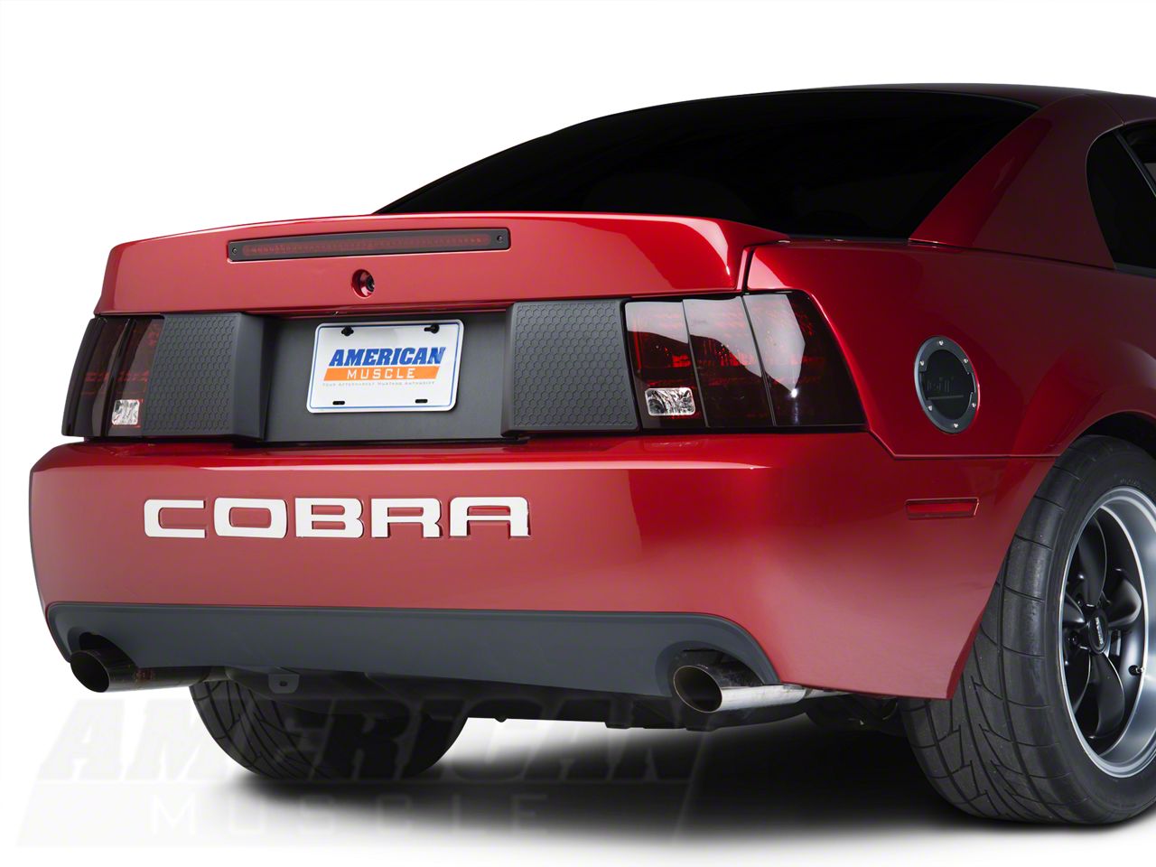 Stainless Steel Bumper Insert Letters (03-04 Cobra)