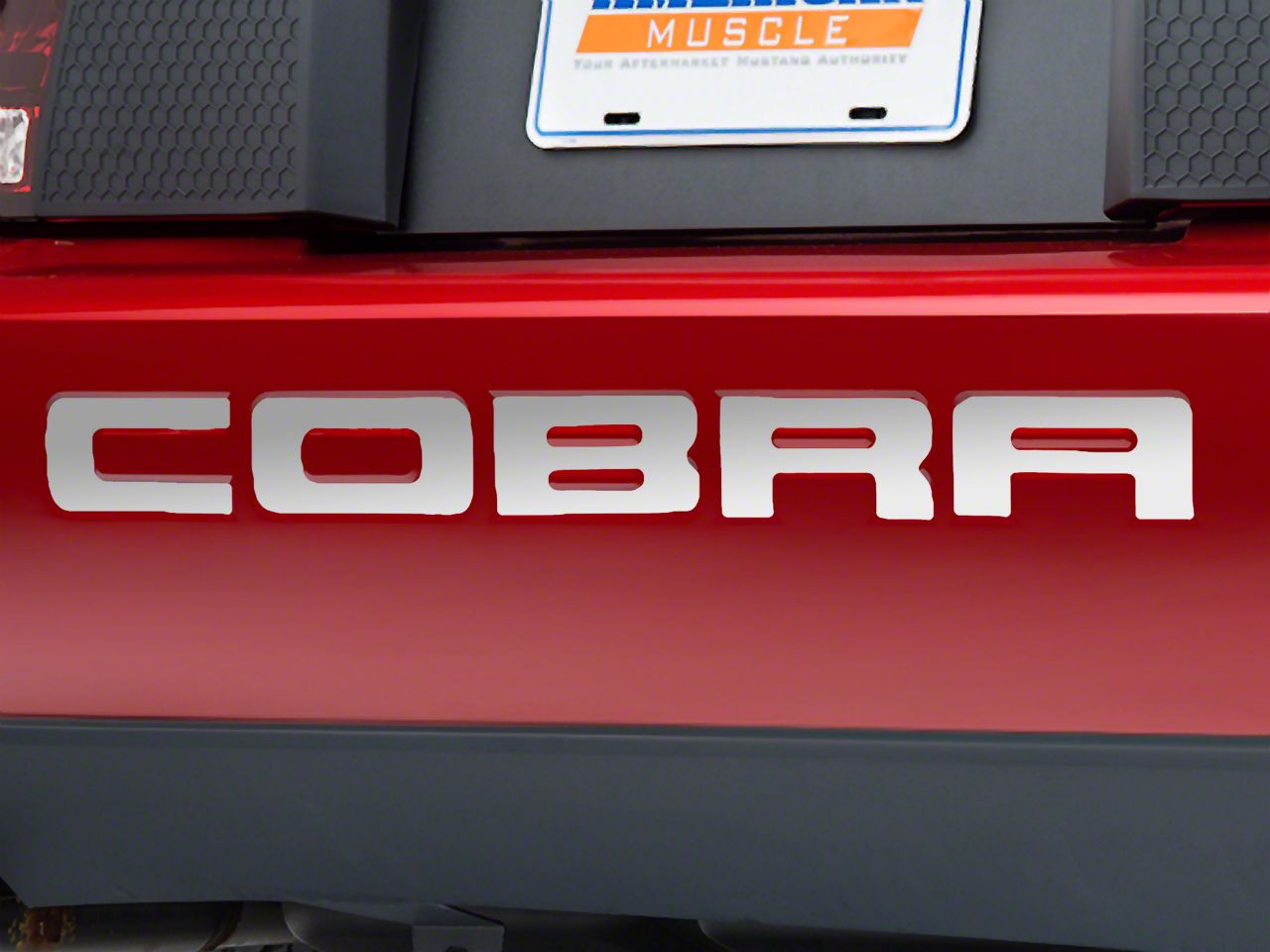 Stainless Steel Bumper Insert Letters (96-98 Cobra; 01 Cobra)