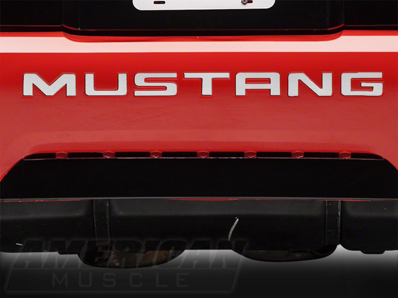 Stainless Steel Bumper Insert Letters (99-04 GT, V6, Mach 1; 99 Cobra)