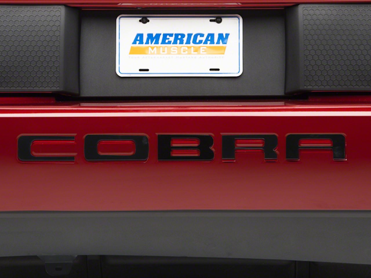 Black Steel Bumper Insert Letters (03-04 Cobra)