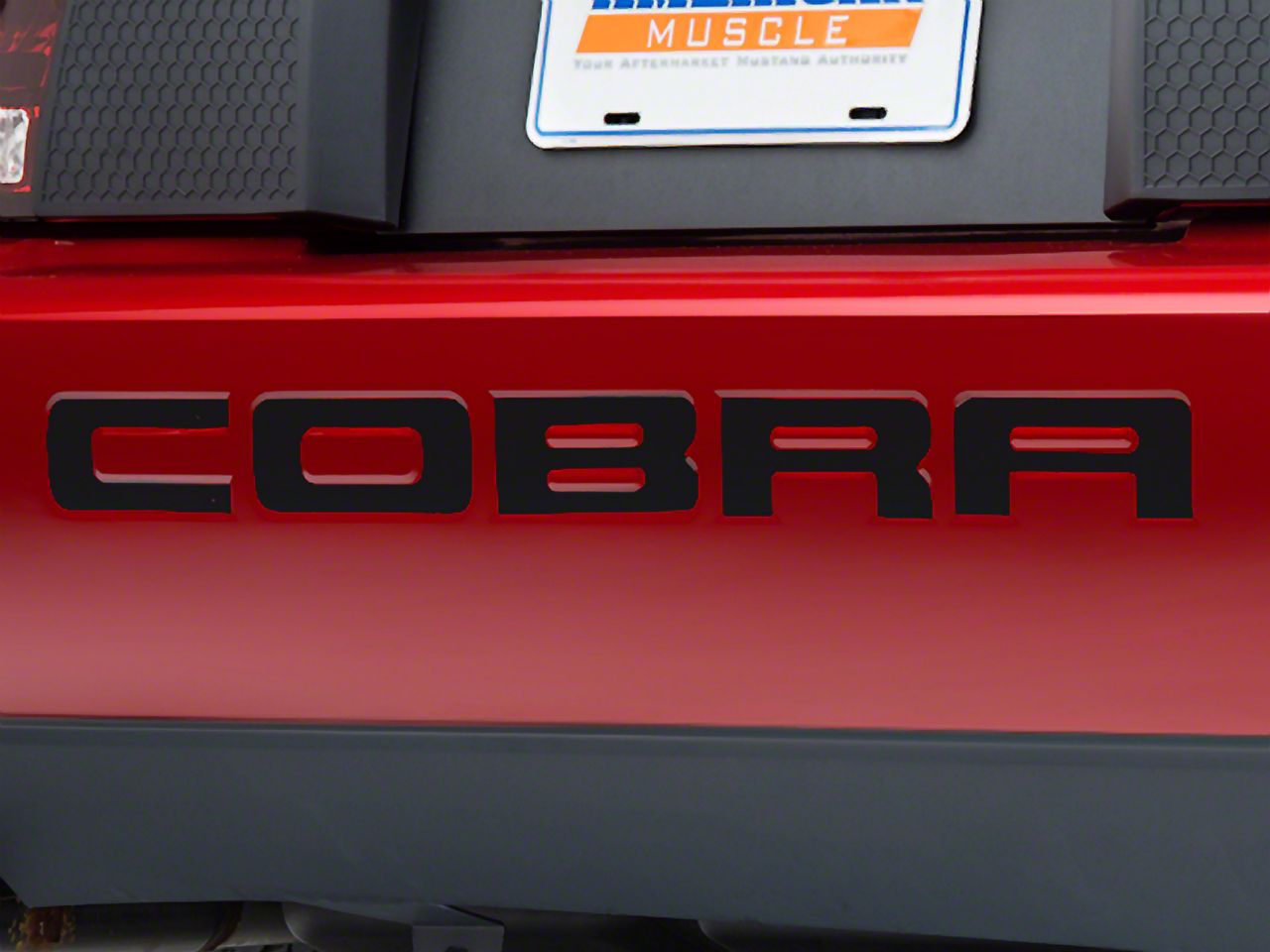 Black Steel Bumper Insert Letters (96-98 Cobra; 01 Cobra)
