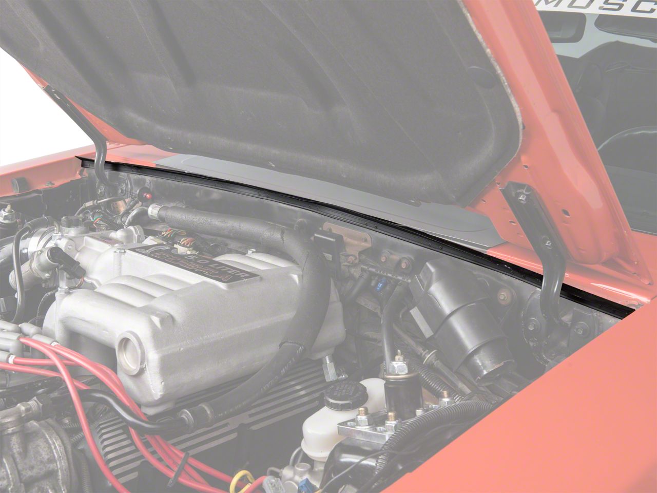 Cowl to Hood Weatherstrip Seal (79-93 All)