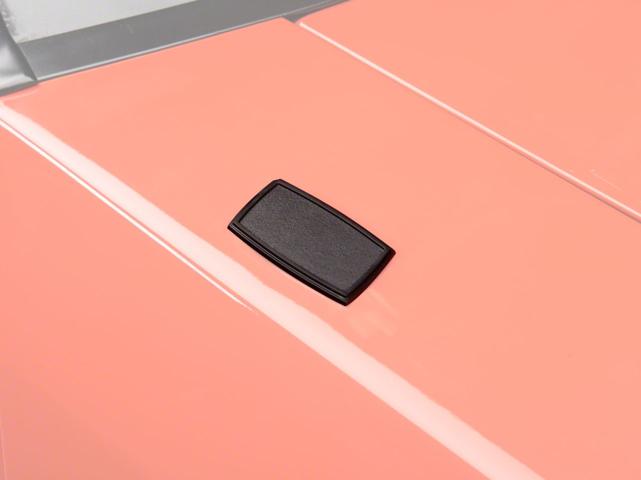 Antenna Delete Block Off Plate (79-93 All)